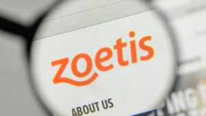 a magnifying glass enlarges the Zoetis logo on a website
