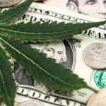 Marijuana penny stocks Cannabis leaf on dollar bill. Cannabis Stocks