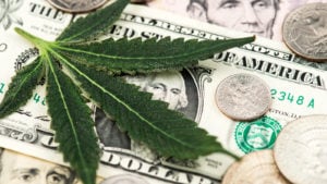 Cannabis leaf on dollar bill