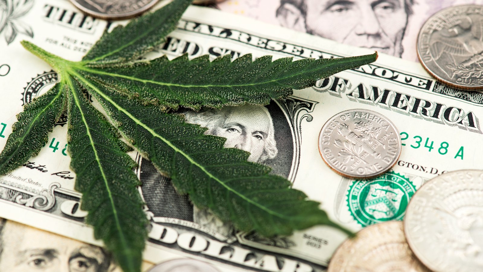 3 Cannabis Stocks Looking Hot Heading Into 2024