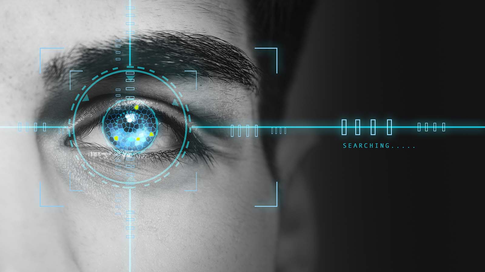 an artistic representation of a biometric scan of an eye