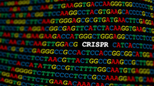 DNA 配列内の CRISPR (CSPR) ロゴ