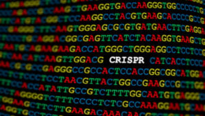 CRISPR (CSPR) logo within a DNA sequence