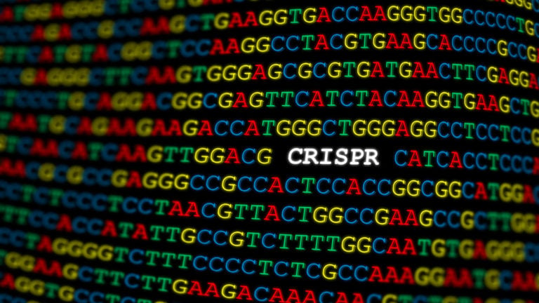 CRSP stock - CRSP Stock Alert: Can CRISPR Therapeutics Short Squeeze Higher?