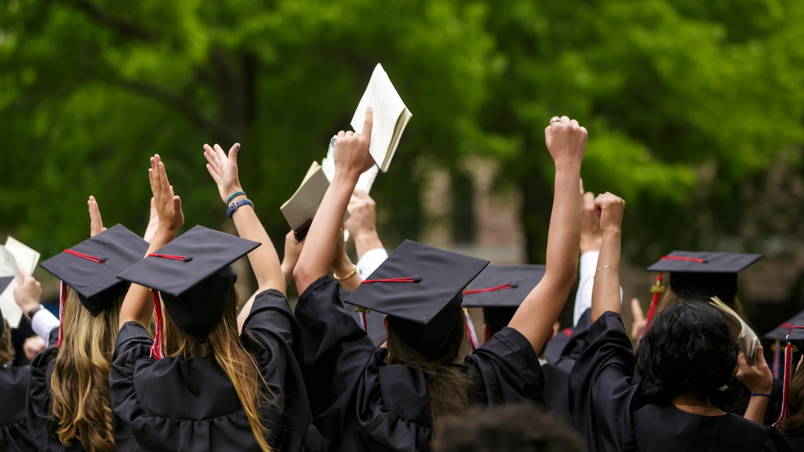Balancing Portfolio Risk And Reward: Asset Allocation for New Graduates - Vimarsana News