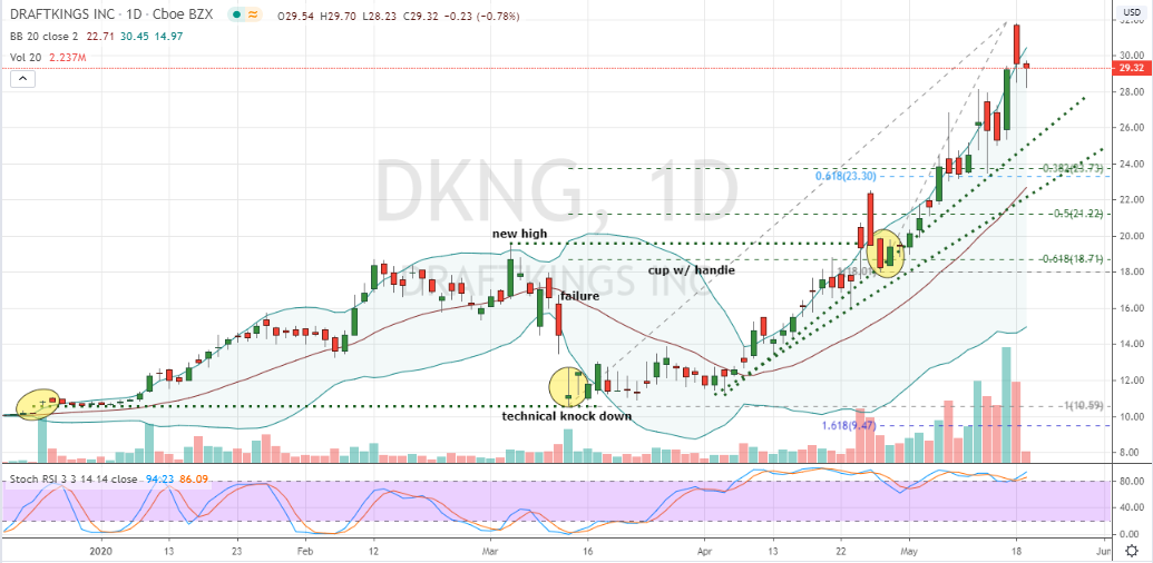 DKNG Stock Daily Price Chart