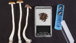 Mushrooms next to various medical tools; mushrooms in a pill container to represent psychedelic treatments