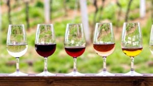 Glasses of red, pink and white wine sitting on a wooden railing. 