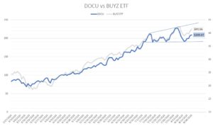DOCU stock vs. BUYZ ETF