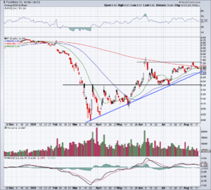 Daily chart of F stock price.