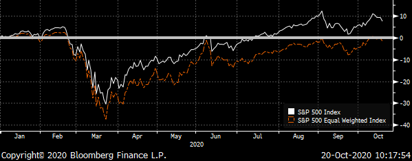 Chart showing the total returns for the S&P 500 & Unweighted S&P 500 Indexes during 2020.