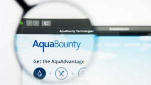 A magnifying glass zooms in on the website for AquaBounty Technologies (AQB).