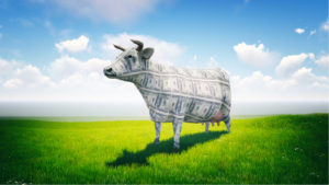 cow made out of cash in green field with bright blue sky behind it