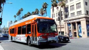 Image of a Metro Local public transportation bus on Hollywood Blvd.