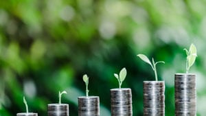 growth stocks tree growing on coin of stacking with green bokeh background