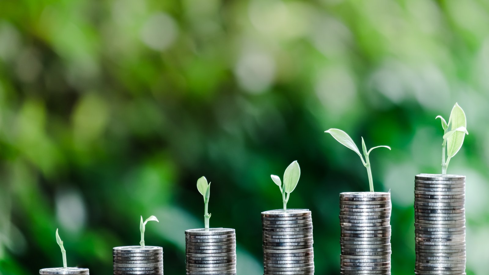 tree growing on coin of stacking with green bokeh background