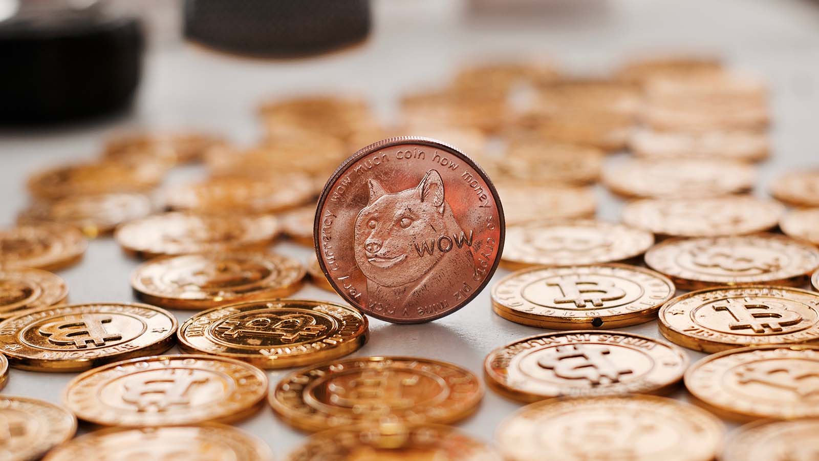 Will dogecoin reach 50 cents information