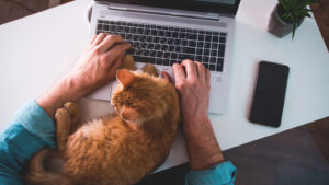 Man is typing on laptop with ginger cat sleeping on keyboard.