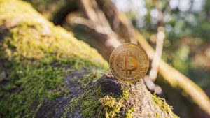 A Bitcoin (BTC) coin sitting on a mossy piece of wood representing mining stocks.