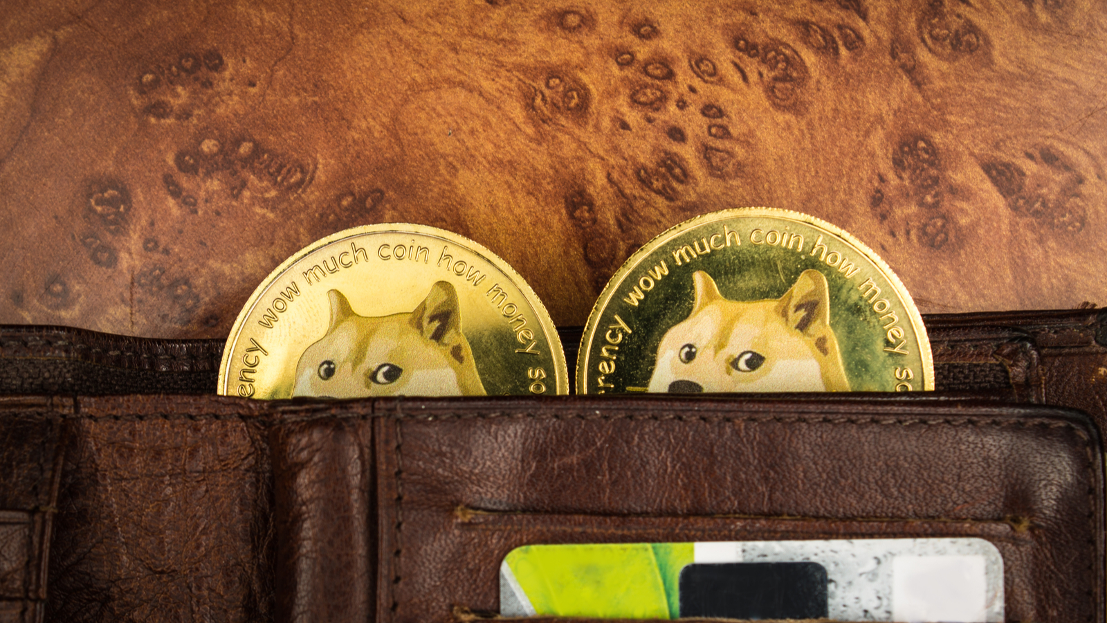 Dogecoin price predictions coins with doge faces peeking out of brown leather wallet. The coins have the words "wow much coin how money" embossed on them.