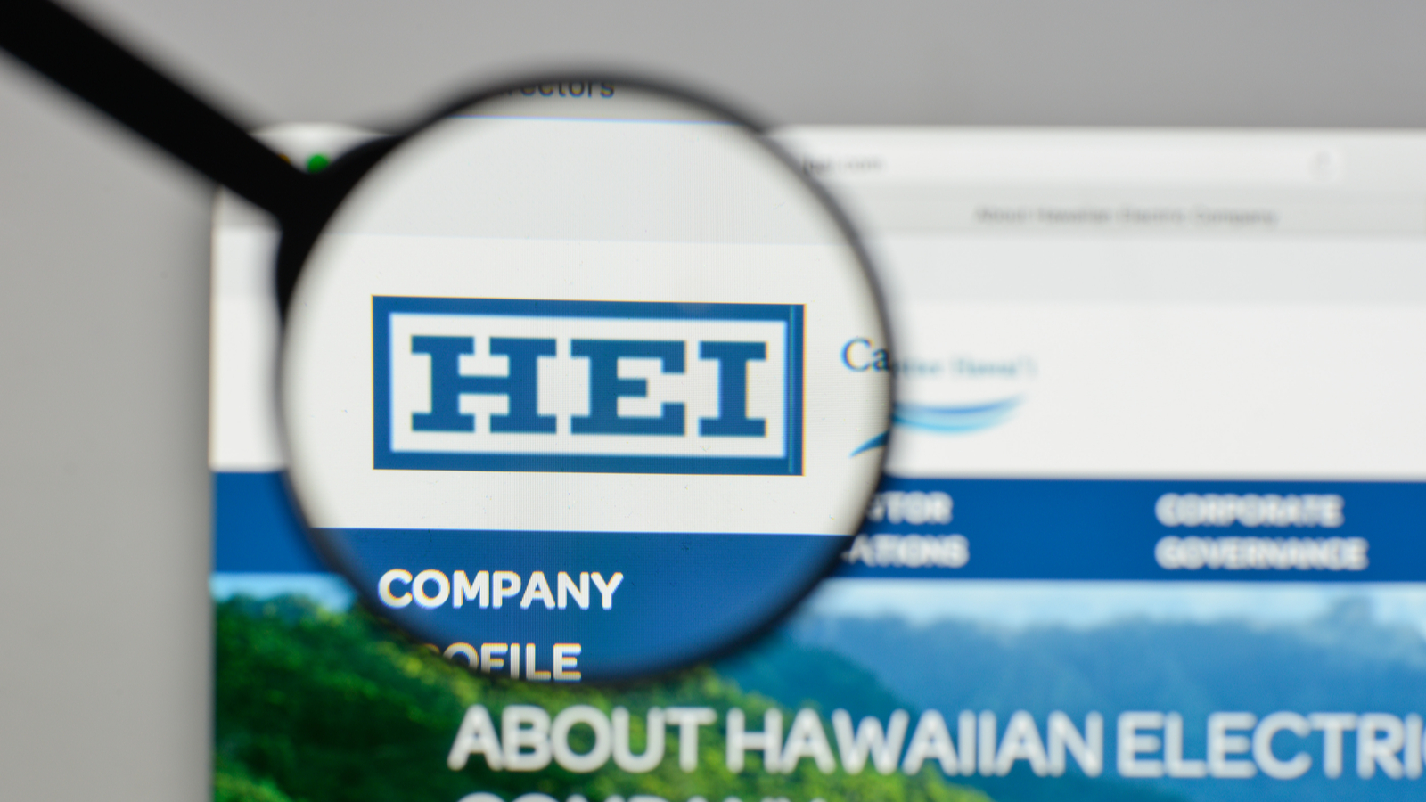 graphic of magnifying glass zooming in on Hawaiian Electric Industries (HE) webpage