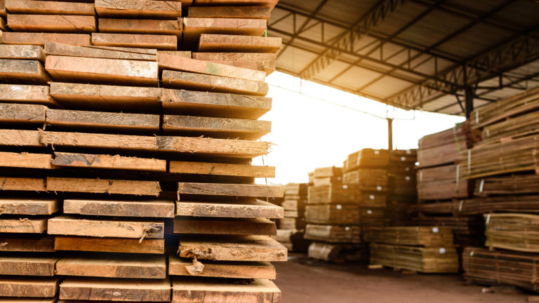 lumber prices - How Much Will Lumber Prices Go Down in 2022?