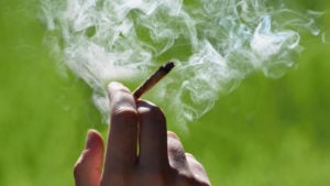 photo of a hand holding a marijuana joint that is smoking against a green outdoor background