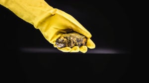 Hand in long yellow glove holding a chunk of uranium material