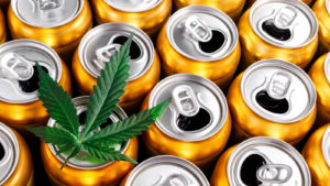 A marijuana leaf rests atop one of dozens of aluminum beverage cans.