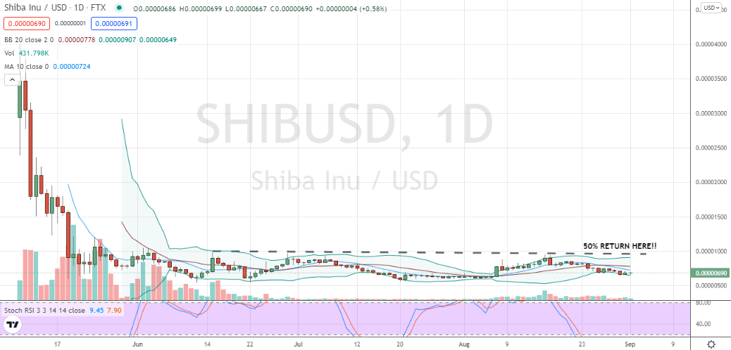 Shiba Inu (SHIB-USD) doggish price action, but hope springs eternal for meme traders scheming for fast returns