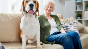 A photo of an old woman and a dog sitting on a couch.