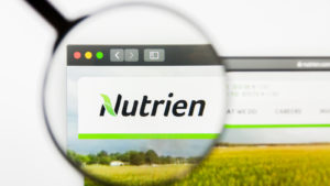 A Nutrien (NTR) weboldalának képe, a logó felett nagyítóval.
