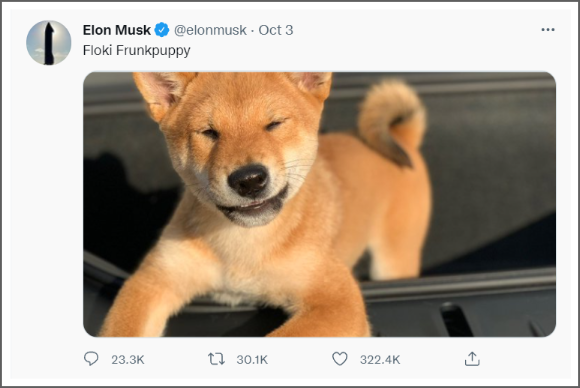 A screenshot of a tweet by Elon Musk showing off his pet shiba inu, Floki.