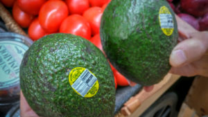 Calavo Growers branded Mexican avocados in a supermarket in New York