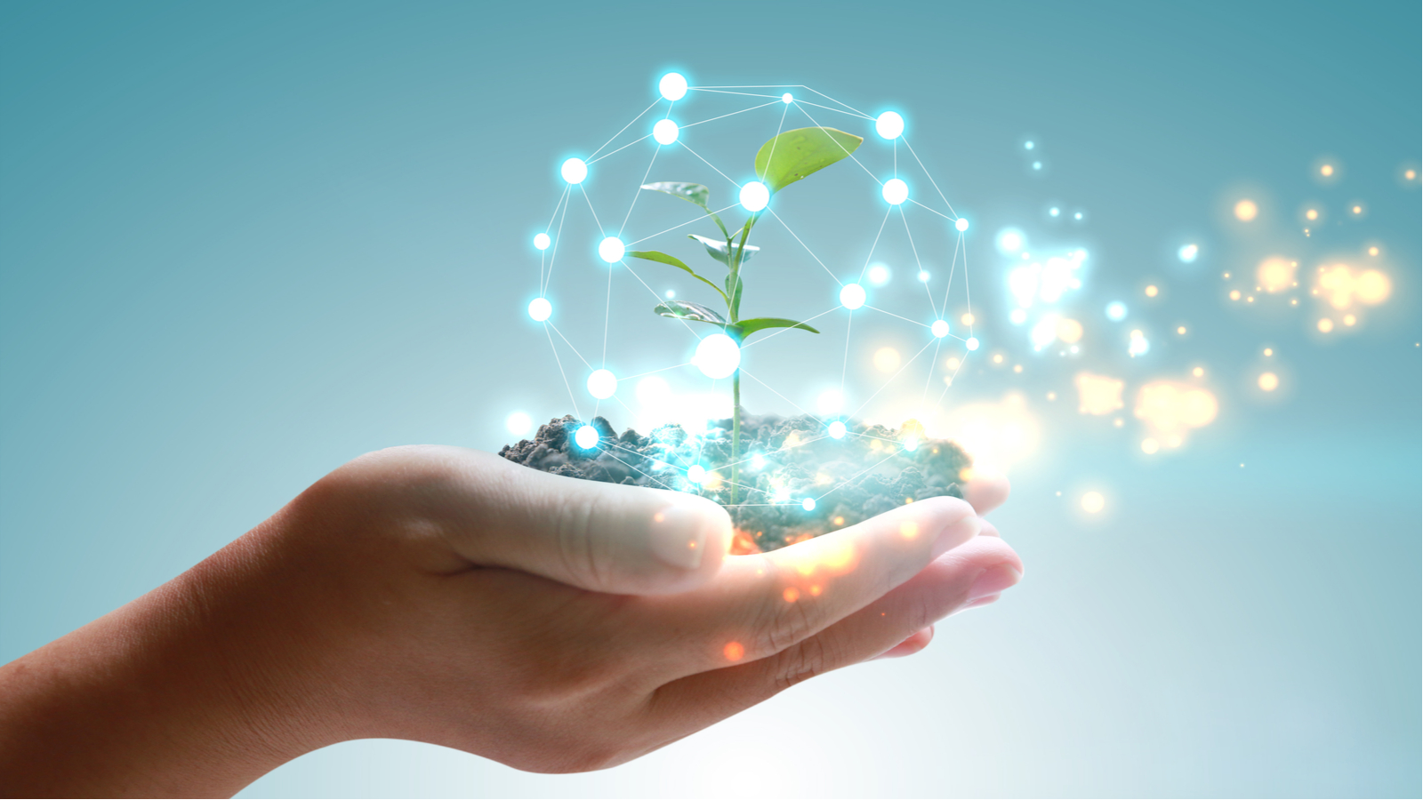 A conceptual image of a person's hands holding a plant surrounded by floating glowing particles