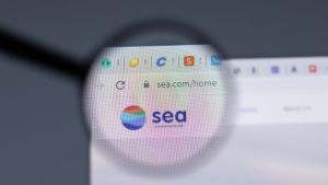 The Sea Limited (SE) logo is visible in a web browser through a magnifying glass.