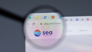 The Sea Limited logo is displayed in your web browser through a magnifying glass.