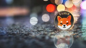 A concept token for the Shiba Inu crypto with lights sparkling in the background.