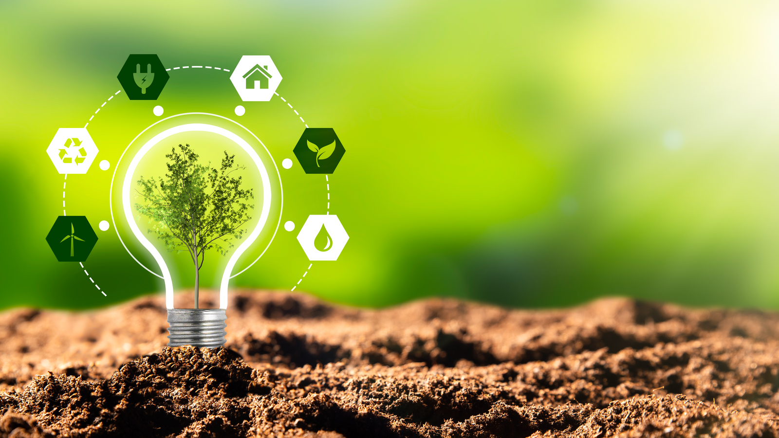 5 Best Environmentally Friendly and Ethical Green Stocks