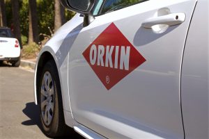 Orkin pest control emblem isolated on white car door day exterior