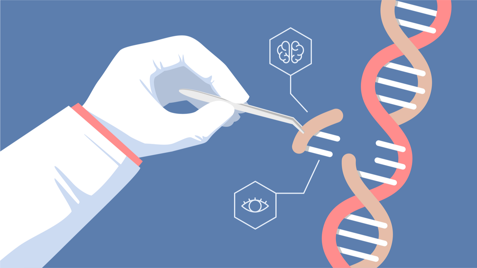 An image of a scientist holding forceps, taking a piece of a DNA helix