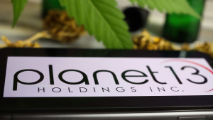 Closeup of mobile phone screen with logo lettering of cannabinoid company planet 13 (PLNHF) holding, blurred marijuana leaf (selective focus on lower part of letter a)