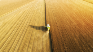 aerial photo of tractor harvesting a massive field of golden wheat