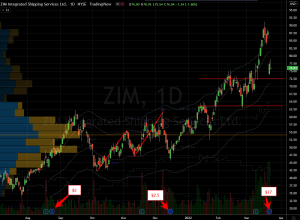 Dividend Stocks to Buy: ZIM Integrated (ZIM) Stock Chart Showing Support Potential