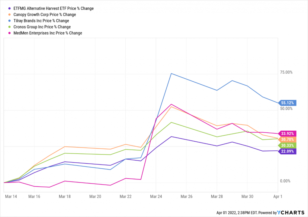 A graph depicting the price change in cannabis stocks