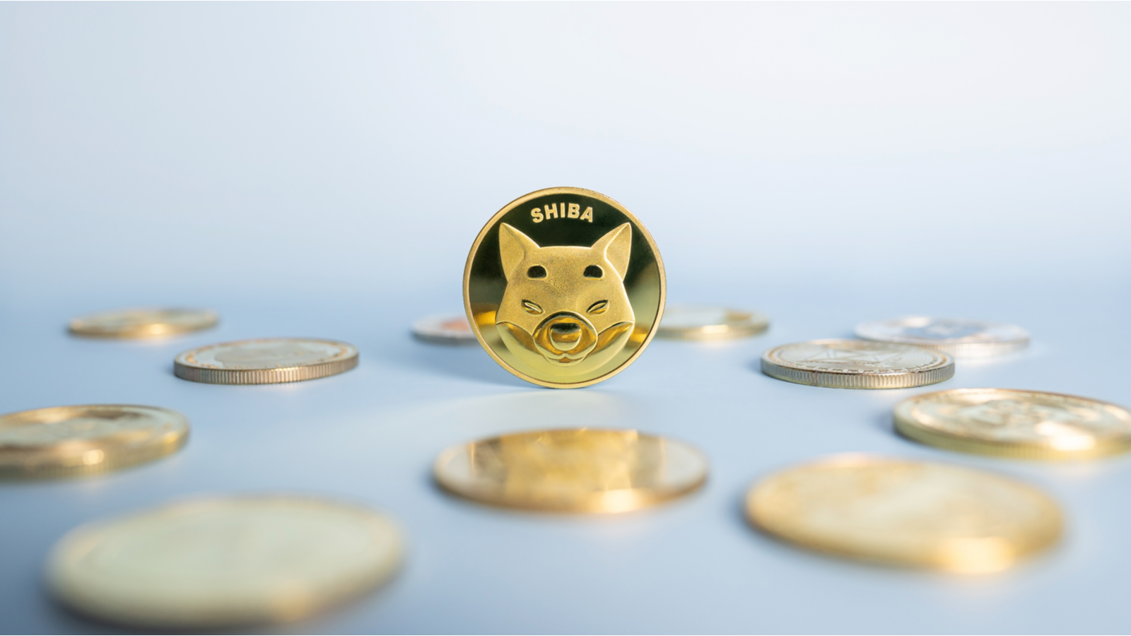 Shiba Inu (SHIB-USD) or Shib coin standing centrally placed among bunch of crypto coins on blue background. Close-up, soft focus. Banner with golden Shiba token. Shiba Inu Price Predictions