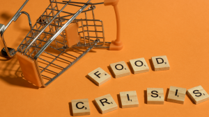 An image of an overturned shopping cart with wooden letters spelling out "food crisis"