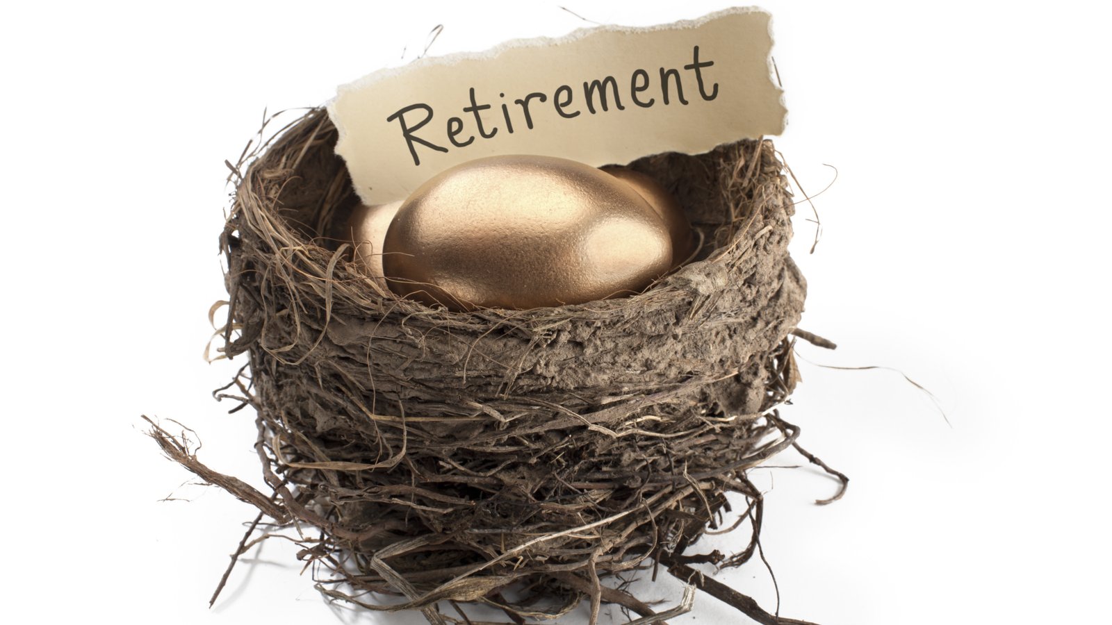 Detailed shot of shiny golden eggs with retirement paper in animal nest against white background. Nest egg. Retirement.