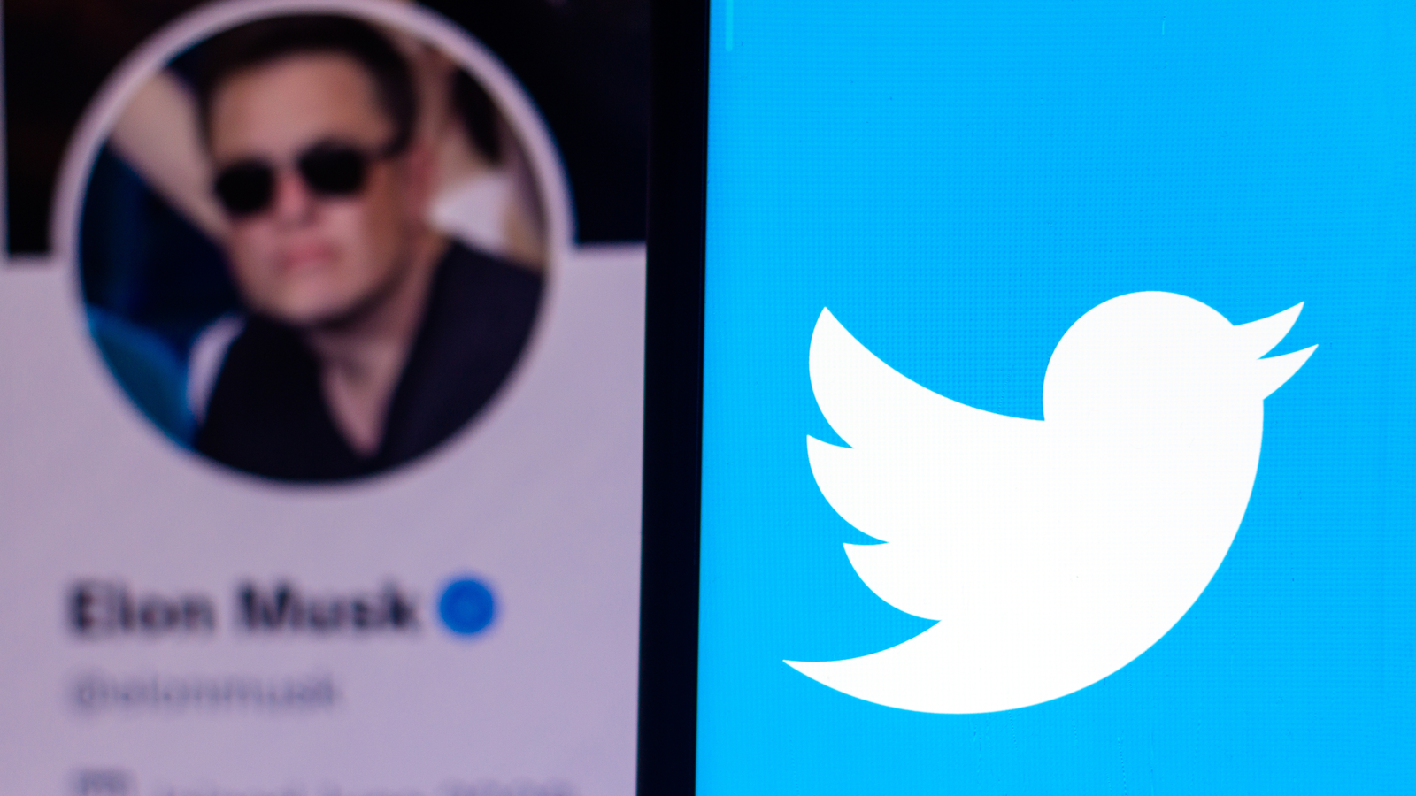 In this photo illustration the Twitter logo seen displayed on a smartphone with the Elon Musk's official Twitter profile