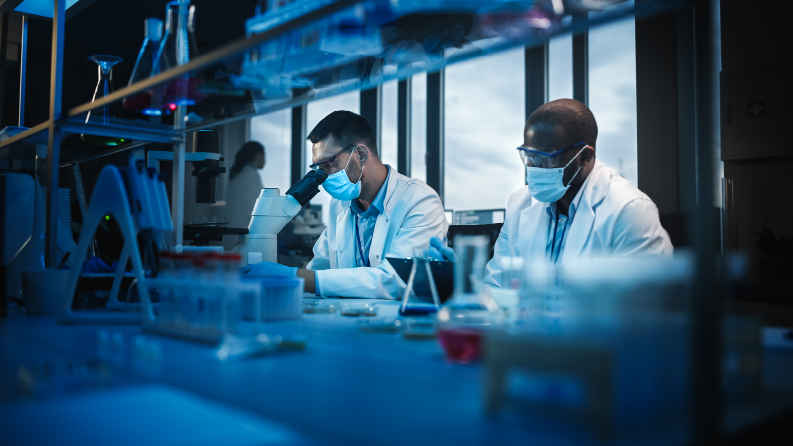 Modern Medical Research Laboratory: Two Scientists Wearing Face Masks use Microscope, Analyse Sample in Petri Dish, Talk. Advanced Scientific Lab for Medicine, Biotechnology. Blue Color. KZR stock.